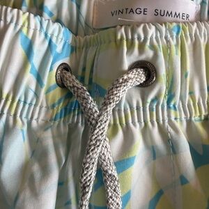 NWT  Men's Swim Shorts - Blue and Green